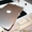 Apple MacBook Air и Pro Ноутбуки - Изображение #2, Объявление #1535126